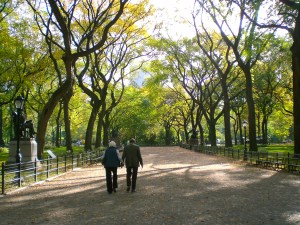 Walk in the park