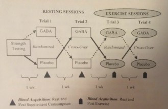 Figure 1 gaba article